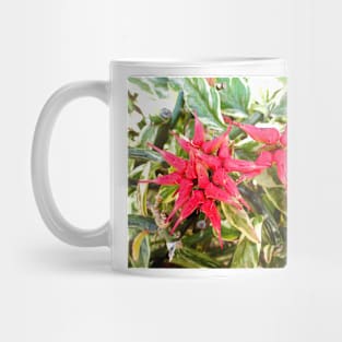 Molokai Floral Study 6 Mug